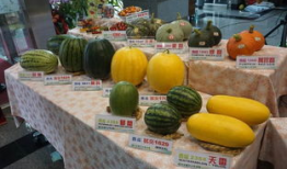 沛县吃瓜最新事件爆料